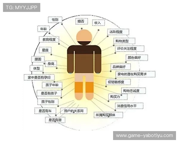 亚博YB国际首页用户数据分析与行为研究助力平台优化与个性化推荐